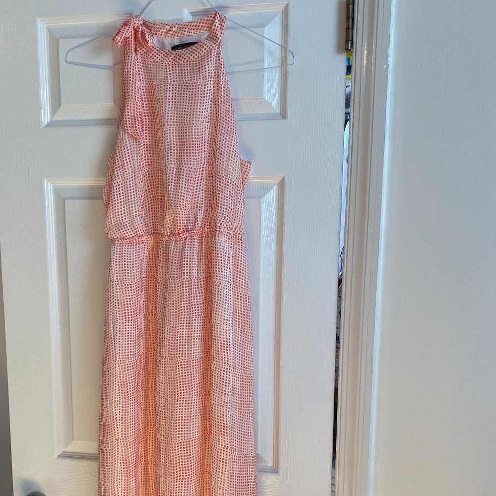 Maxi Dress: worn one time